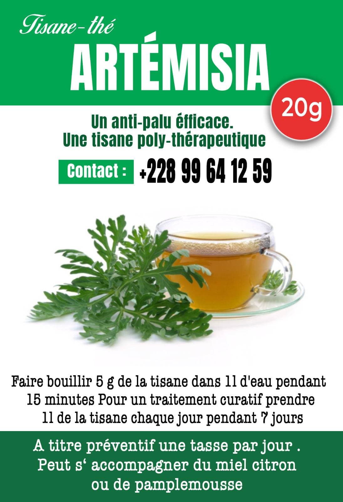 Tisane Artémisia